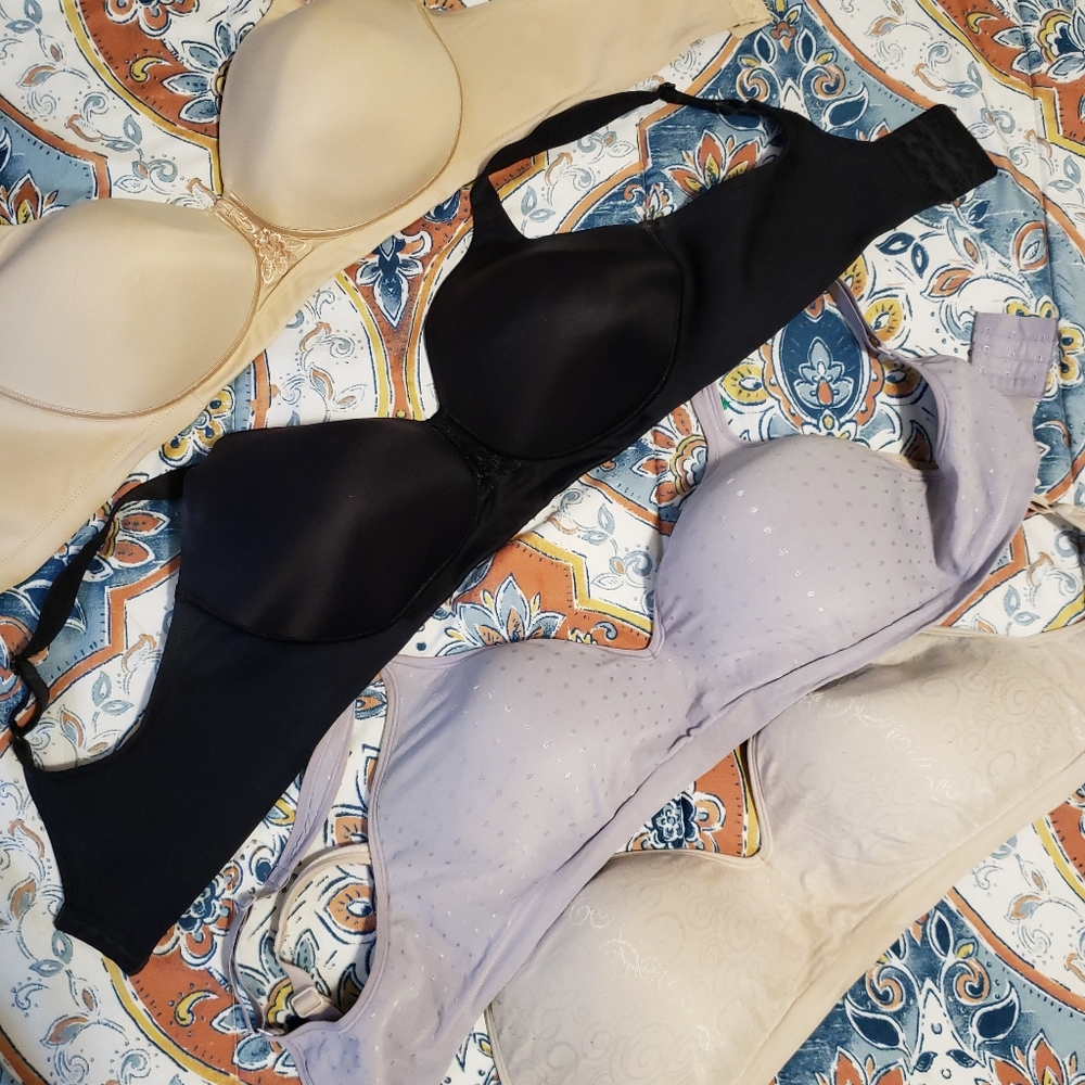 Lot of 38dd bras